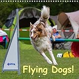 Flying Dogs! 2020: Agility ... a dog sport introducing speed and power (Calvendo Animals) by 