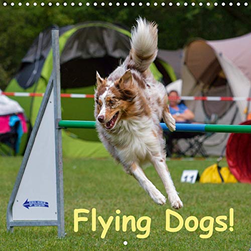 Flying Dogs! 2020: Agility ... a dog sport introducing speed and power (Calvendo Animals) by 
