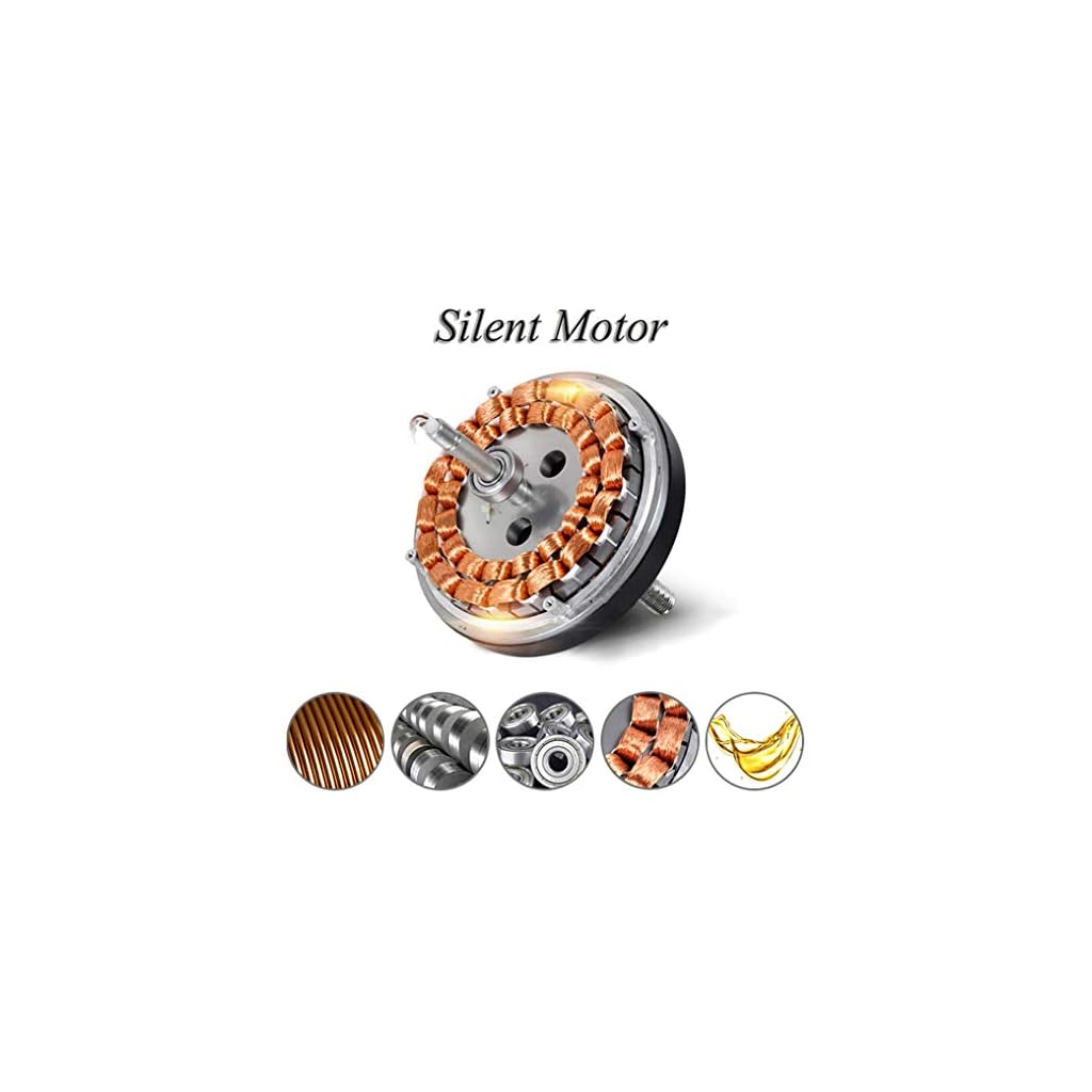 Ceiling Lamp Ceiling Fan with LED Lighting and Remote Control Quiet Fan