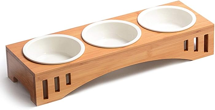 Top 9 Multi Cat Food And Water