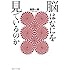 脳はなにを見ているのか (角川ソフィア文庫)