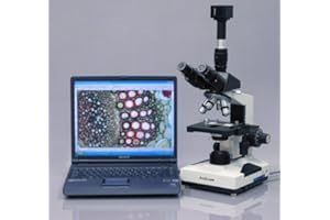AmScope T490A-8M Digital Compound Trinocular Microscope, WF10x and WF16x Eyepieces, 40X-1600X Magnification, Brightfield, Hal