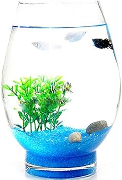 Amazon Co Jp お部屋にささやかな癒やしを 金魚鉢 アクアリウム プールボール クリア 花瓶 ビー玉 季節 インテリア 水槽 おしゃれ 人気 おすすめ 癒やし Cタイプ Sサイズ Sd Pobowl C S Pet Supplies