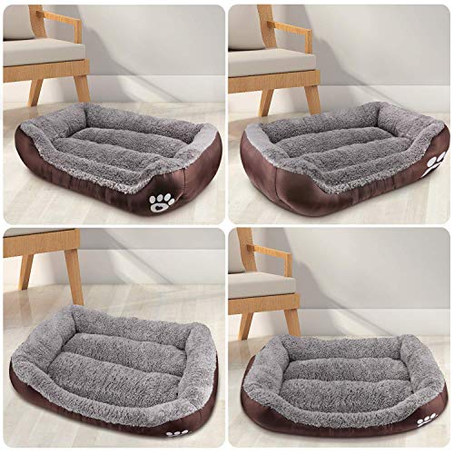 dog bed olx