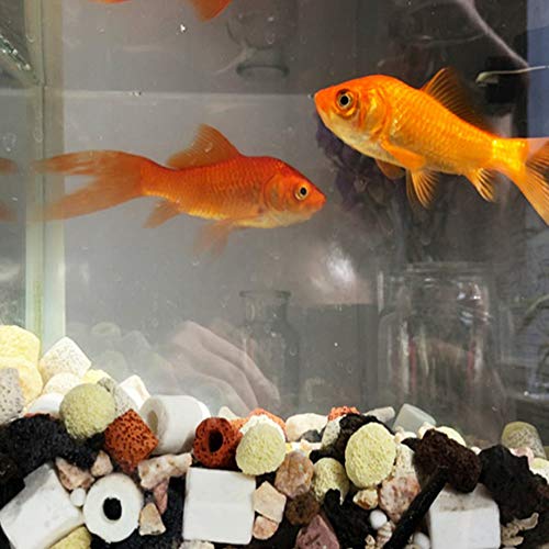 Tfwadmx Bio Filter Balls, Aquarium Bio Balls Filtration Ceramic Rings Media for Fish Tank and