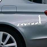YoRise Crazy Cat Lady Car Stickers, Waterproof Vinyl Self-Adhesive Bumper Stickers, Funny Cat Car Decorations, Cute Automotive Decals for Vehicle Window, Laptop, Wall, Glass, Waterbottle (White)