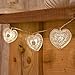 Sunniemart 10 Led Battery Operated String Lights Heart Fairy Lights Outdoor Party Lights for Patio Garden Lawn (Warm White)