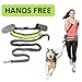 BoxLegend Petop Hands Free Dog Treat Pouch and Training Bag with Poop Bag Dispenser|Holds Dog Toys,Treats,Snacks|Clip to Belt or Leash, Adjustable Waist Belt or Over The Shoulder Strap …