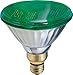 GE Lighting 13474 85-Watt Outdoor PAR38 Incandescent Light Bulb, Green primary