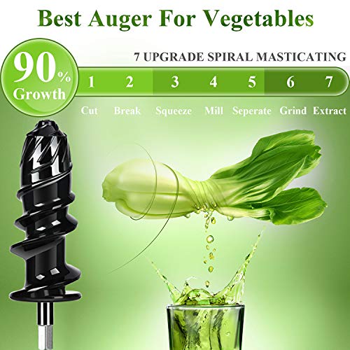 1 Masticating+Extractor+Portable+Function+Vegetable