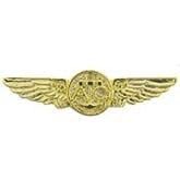 EagleEmblems P15240 Wing-USN,Aircrew,Gold (Mini) (1.25'')