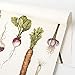 Hester & Cook Paper Placemat, Pad of 24 - Natural Farmer's Market