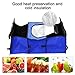 XXQQ Oxford Fabric Vehicle-mounted Containing Box, 3-Compartment Collapsible Car Trunk Organizer, Auto Storage Packing Carton With a Cooler Bag, Blue Color