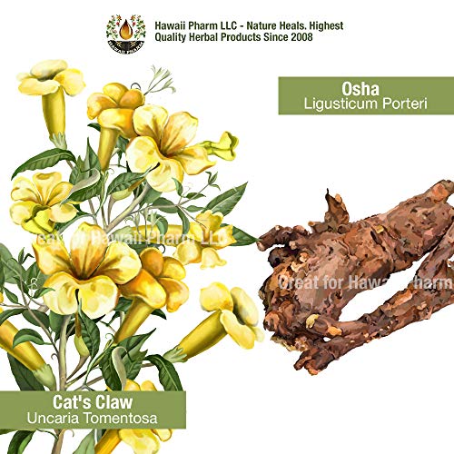 Natural-Immune-Support-Supplement-Tincture-of-Quina-OSHA-Echinacea-Lomatium-Forsythia-Cats-Claw-PAU-dArco-Turmeric-Umckaloabo-Ginseng-Bupleurum-and-Other-Herbs-2-oz