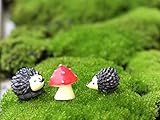 Ginsco Miniature Ornament Hedgehog & Mushroom Set for Dollhouse Decor Fairy Garden