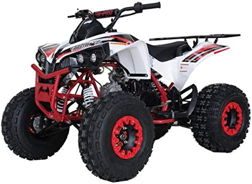 big boy 125cc quad bike