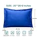 NTBAY Standard Pillow Shams - 2 Pack Brushed Microfiber 20x26 Sham Covers - Super Soft and Cozy, Wrinkle, Fade, Stain Resistant 20x26 Inches Oxford Pillowcases, Royal Blue