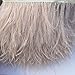 Sowder 5 Yards Champagne Ostrich Feather Trim Fringe on Satin Header 4-6inch in Width for Wedding Sewing Crafts Costumes Decoration