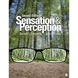 Sensation and Perception