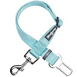 Blueberry Pet 19 Colors Classic Dog Seat Belt Tether for Dogs Cats, Mint Blue, Durable Safety Car Vehicle Seatbelts Leads Use with Harness