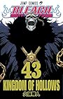 BLEACH -ブリーチ- 第43巻