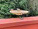 EHF Deck Mounted Songbird and Wild Bird Spa and Bath - with Beige Color Bowl - 1-Quat Water Capacity