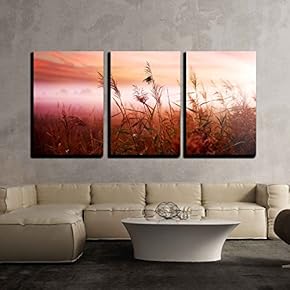 3 Piece Canvas Wall Art - Foggy Landscape.Early Morning Mist. - Modern Home Art Stretched and Framed Ready to Hang - 16"x24"x3 Panels