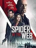 Spider in the Web