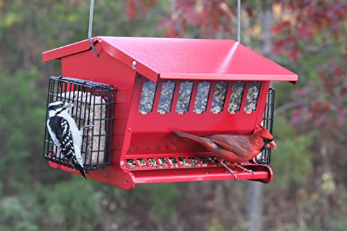 Audubon Seeds N More Metal Hopper Bird Feeder Model 7452r Buy