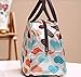 JASSINS Cute Love Heart Lunch Bag Tote Bag Lunch Organizer Lunch Holder Lunch Container (Pink)