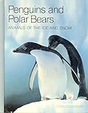 Front cover for the book Penguins and Polar Bears Animals of the Ice and Snow: Animals of the Ice and Snow (Books for Young Explorers) by Sandra Lee Crow