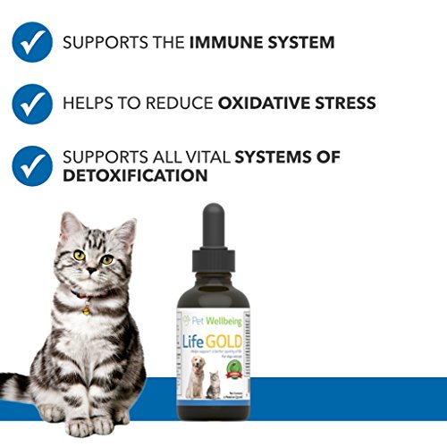 4 Pet+Wellbeing+Life+Gold+Cats