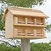 Heath Cedar Crescent Entry Purple Martin House Package