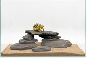 KINGRUI Aquarium Rocks Stream Turtle Platform Natural Slate 3-8 inches Basking Rock for Aquarium Decoration Turtle Tanks Amphibian Reptile Terrariums-10lb