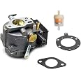 Vergaser Ersatz Für Briggs & Stratton 693480 – Kompatibel Mit Vielen Modellen, Inkl. Kraftstofffilter & Dichtungen