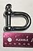 Stainless Steel 316 Forged D Shackle Marine Grade 3/8