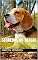Livro Segredos do Beagle
