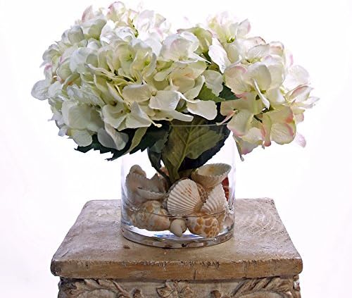 Creative Displays White Hydrangea Over Sea Shells in Glass Vase