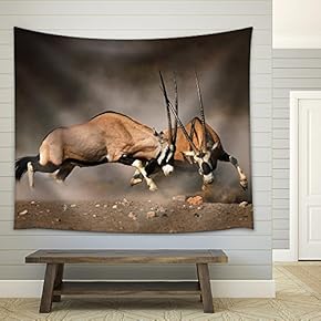 Intense Fight Between Two Male Gemsbok on Dusty Plains of Etosha - Fabric Wall Tapestry Home Decor - 51x60 inches