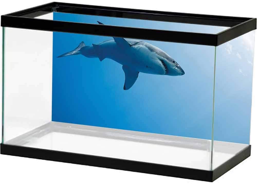 homecoco HD Aquarium Background Seaside,Sun Bed Under Palm Trees Tropical Oceanside in Boracay Island Image Print,Green Blue and White Waterproof, Durable and Easy Clean