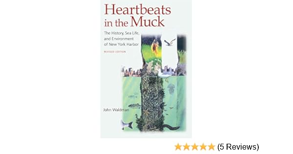 Amazoncom Heartbeats In The Muck The History Sea Life - 