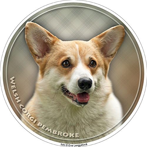 Lukka Welsh Corgi Pembroke Autocollant 15 Cm Amazonfr