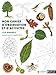 Mon cahier d'observation et d'activités : Les arbres by 