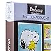 DaySpring - Peanuts - Encouragement - 4 Design assortment with Scripture - 12 Premium Boxed Cards & Envelopes (74870)