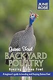 Guinea Fowl, Backyard Poultry: Keeping Guinea Fowl by June Rose