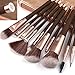 Makeup Brush Set with Case 10Pcs Premium Synthetic Eye Shadow Foundation Blending Blush Kabuki Makeup Brushes Kit by Zoreya