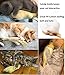 Cat Toys Set, Cat Retractable Teaser Wand, Catnip Fish, Interactive Cat Feather Toy, Mylar Crincle Balls, Two Cotton Mice, Four Fluffy Mouse
