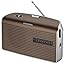 Grundig Music 60 Empfangsstarkes Radio im modernen Design grau: Amazon ...
