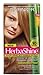 Garnier Herba Shine Hair Color Creme with Bamboo Extracts 730 Dark Golden Blonde (Pack of 3)