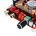 WINGONEER TDA7498E 2x160W Dual Channel Audio Amplifier Board, Support BTL Mode 1X220W Single Channel, DC 24V Digital Stereo Power Amp Module for Car Vehicle Computer Speaker DIY